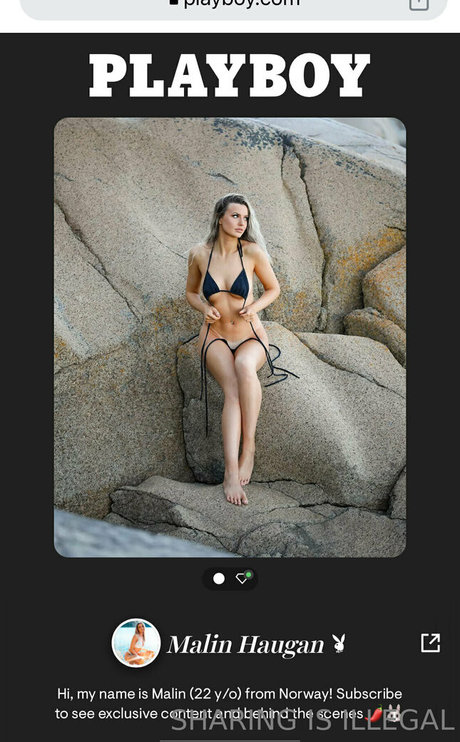 Bunnyboofree