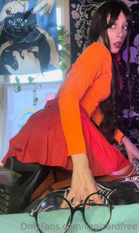 Lizgizzardfree