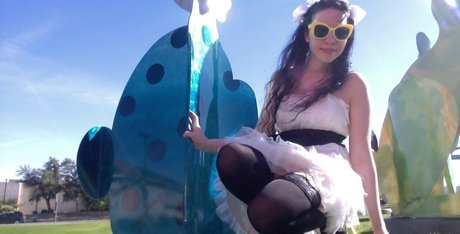 Stellaaeternum