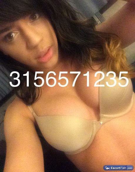 Andrea Anaconda