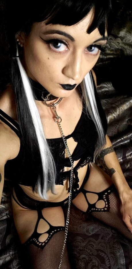 Nekogoth23
