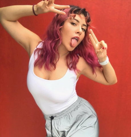 Vivi Alto
