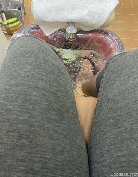 Thatchocobxtch