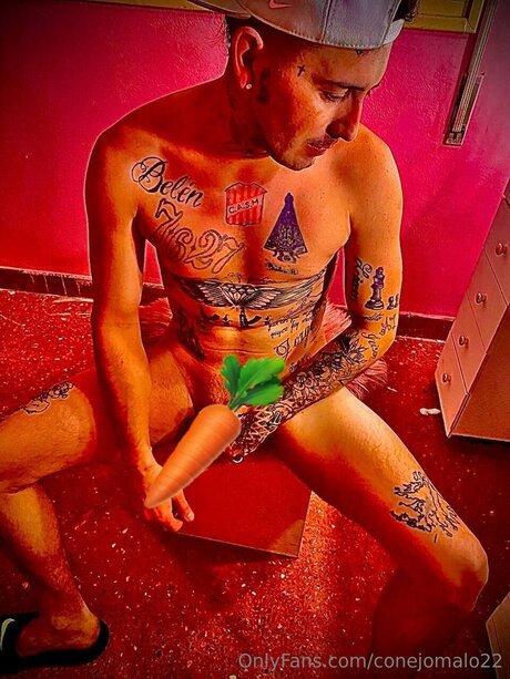 Alaston vuotanut OnlyFans-kuva Conejomalo22