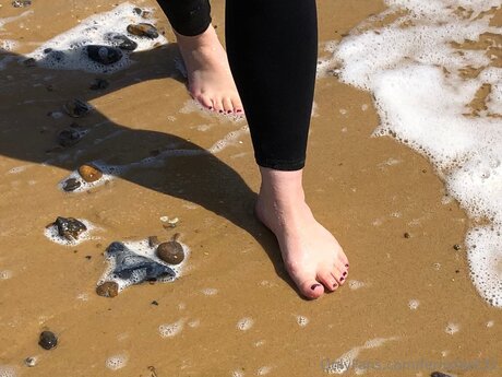Fernsfeet31