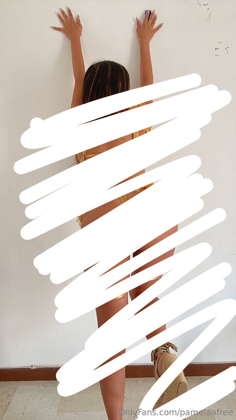 Pamelaafree