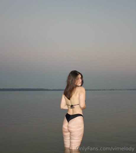 Vimelody