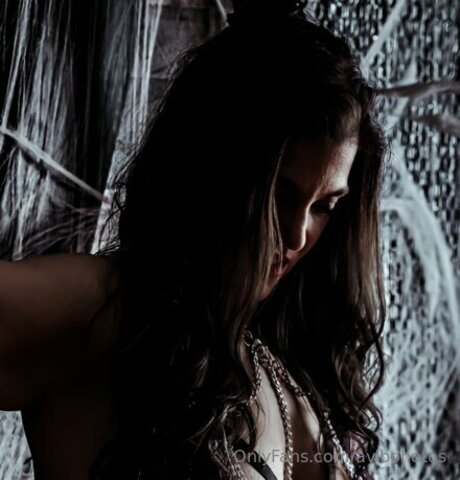 Avibphotos