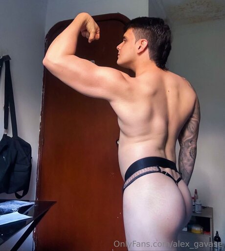 Alex Gavase
