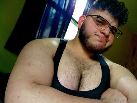 Baymaxcub