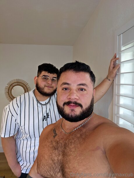 Baymaxcub
