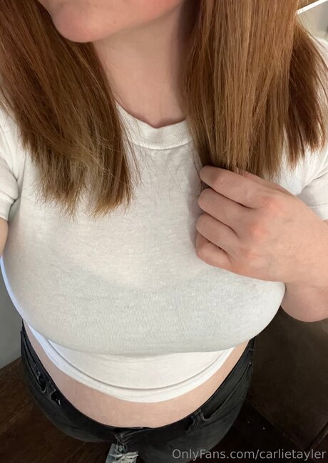 Carlietayler