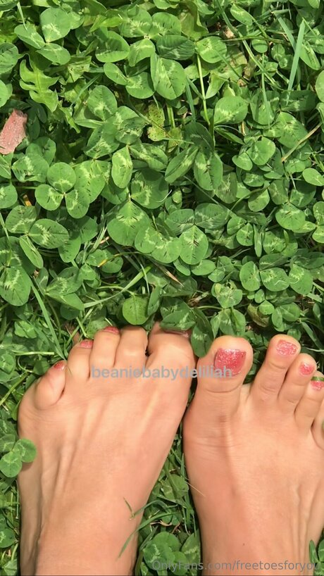 Freetoesforyou