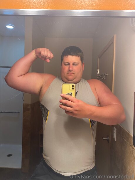 Thebulkinghog