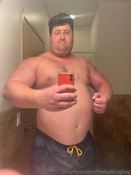 Thebulkinghog