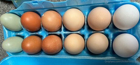 Naakte gelekte OnlyFans-foto van Chickenlady Eggs