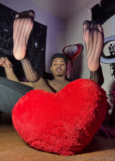 Moonboyrockhard