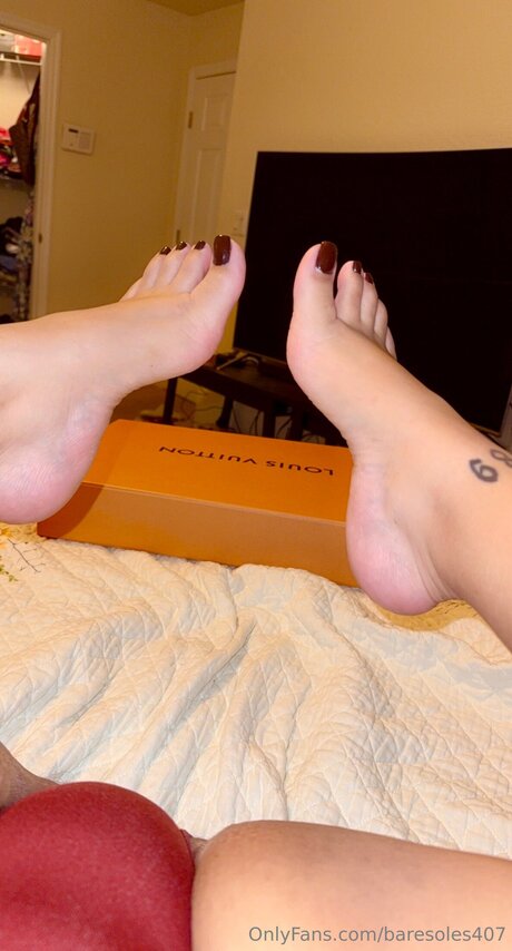 Baresoles407