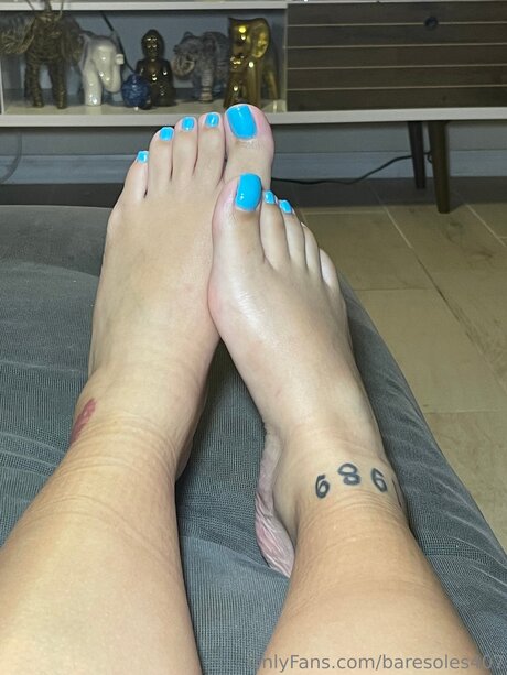 Baresoles407