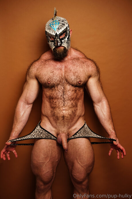 Pup Hulky