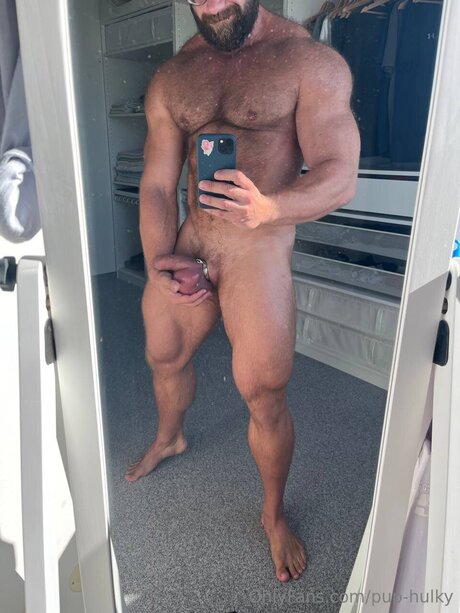 Pup Hulky