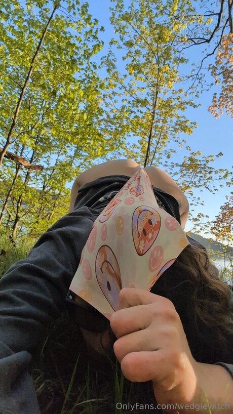 Wedgiewitch