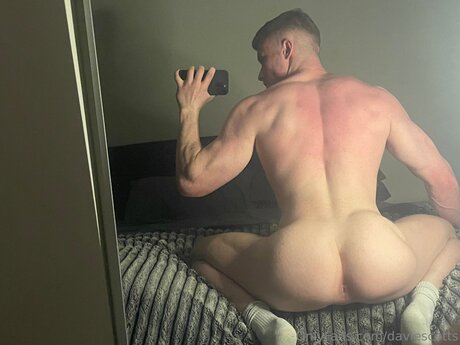 Fit Davie