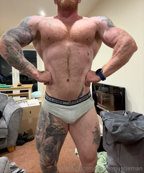 Gingermuscleman