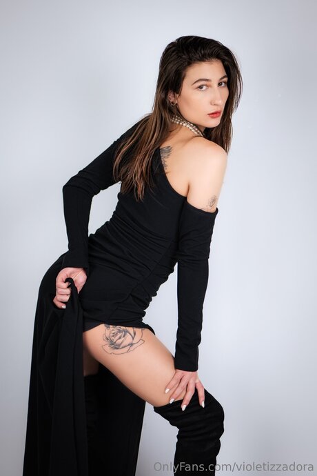 Violetizzadora