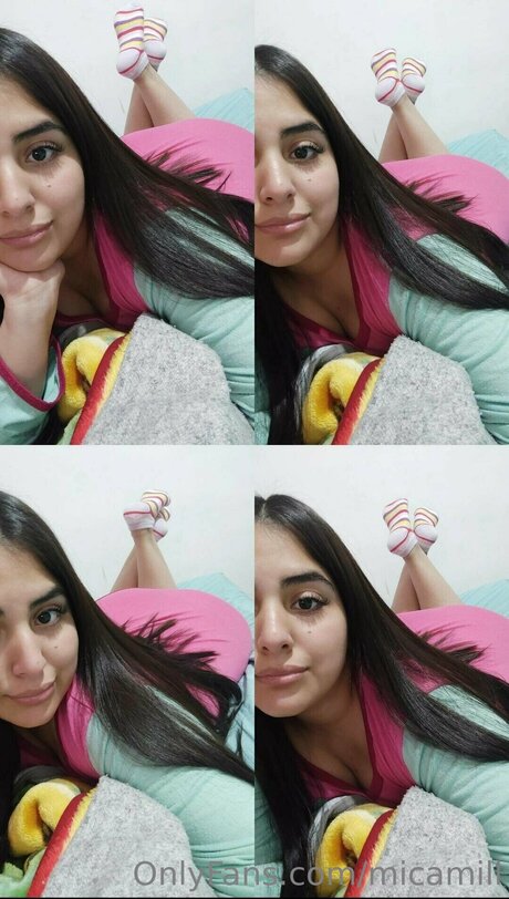 Miccamill