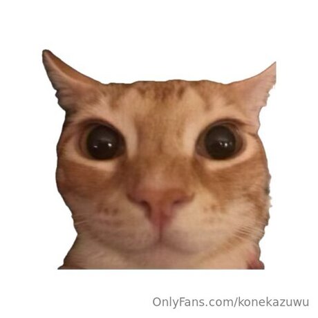 Konekazuwu