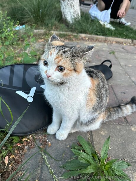 Konekazuwu