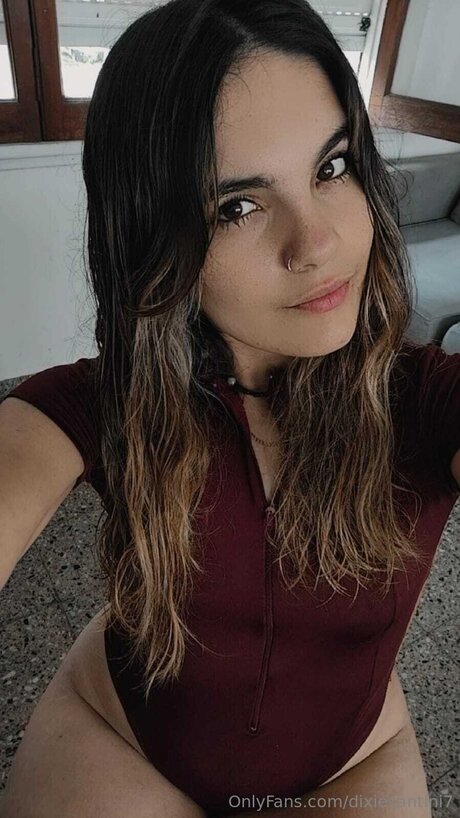 Dixiesantini7