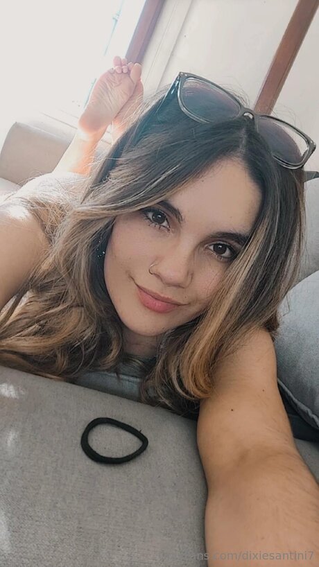 Dixiesantini7