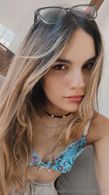 Dixiesantini7