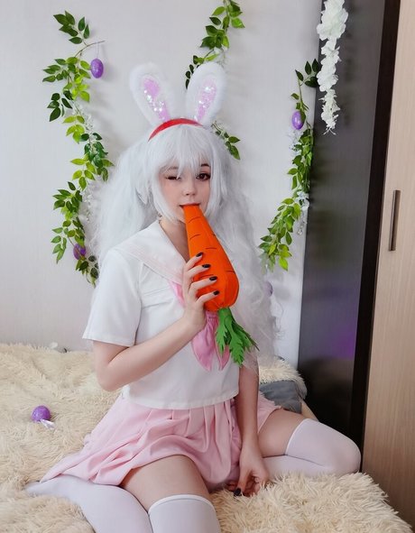 Caticornplay