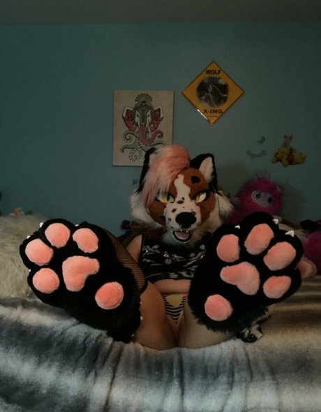 Foxanatomy