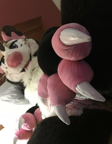 Foxanatomy