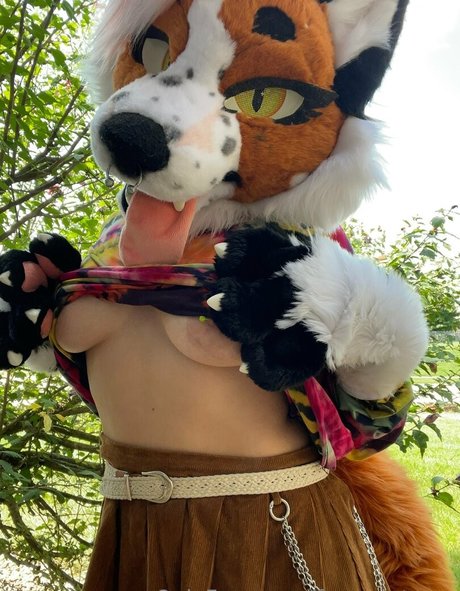 Foxanatomy