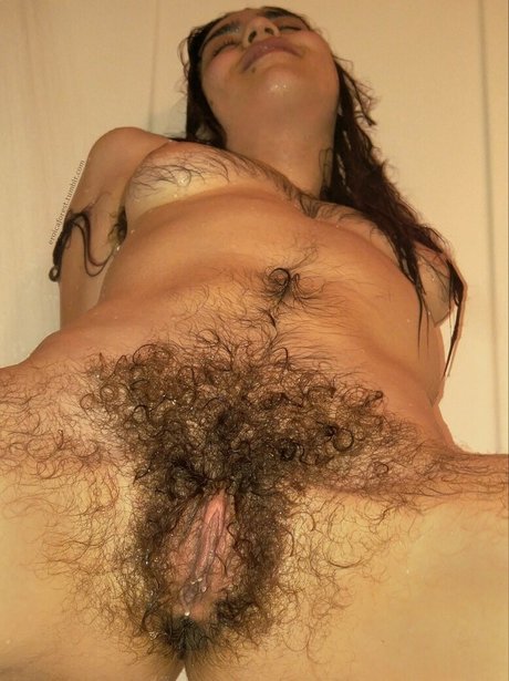 Eroicaforest
