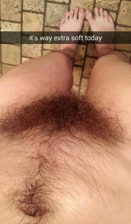 Eroicaforest