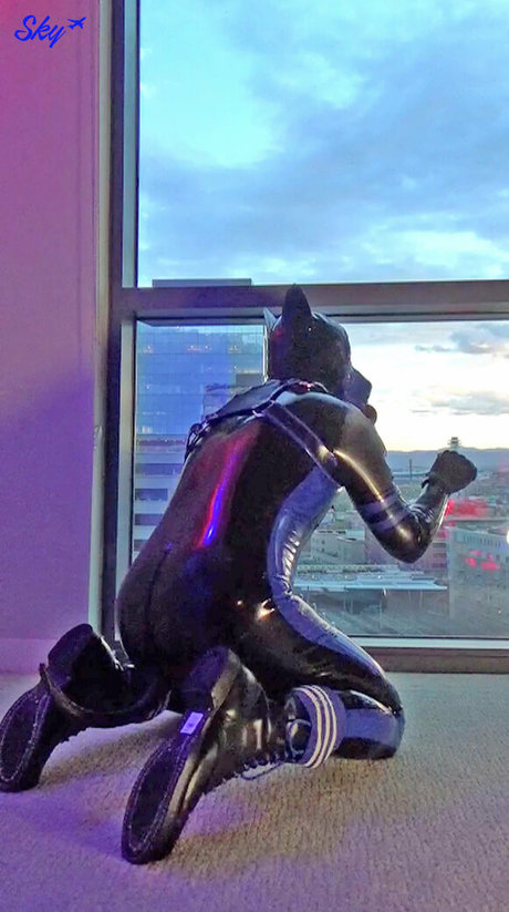 Skystudios42