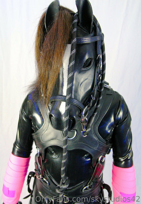 Skystudios42