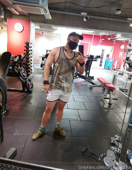 Naken lekkede OnlyFans-bilde av Largedogcollar