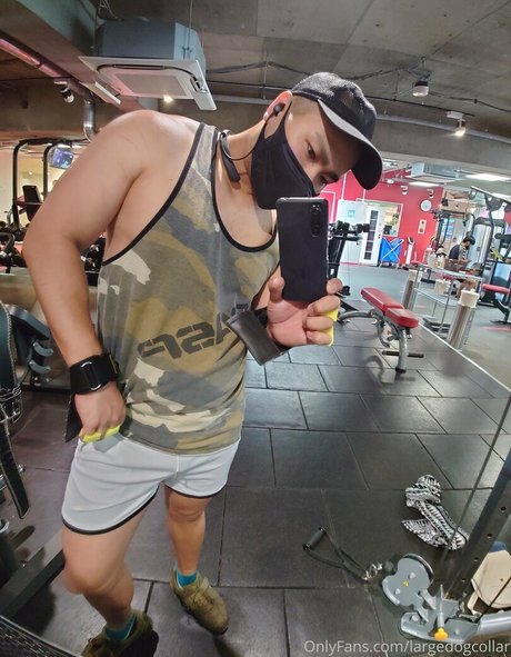 Largedogcollar OnlyFans 유출 누드 사진