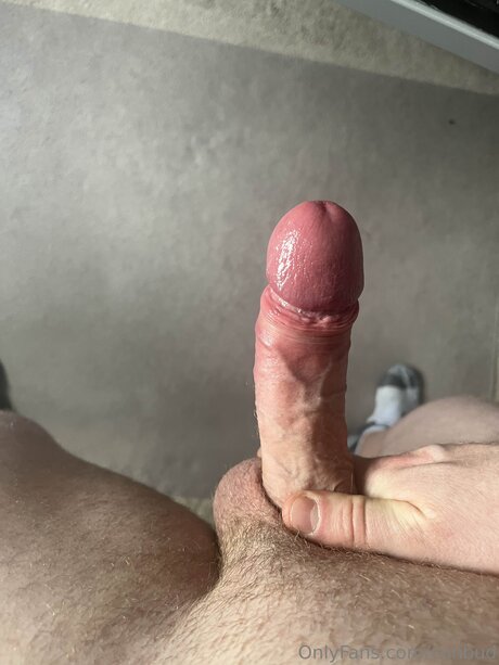 Conbud