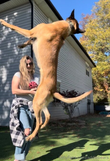 Addiebears