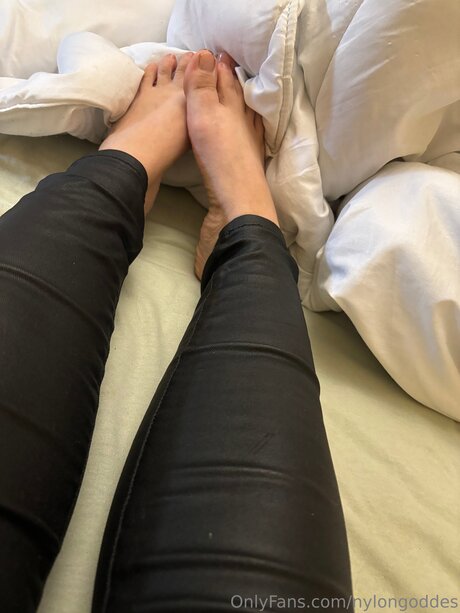 Nylongoddes