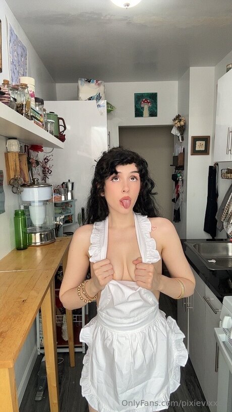 Pixievixencrypt