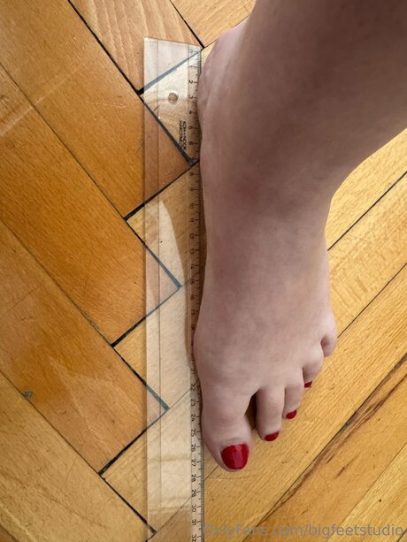 Bigfeetstudio